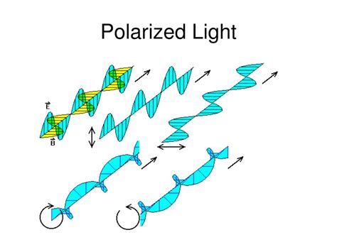 polarized light ppt